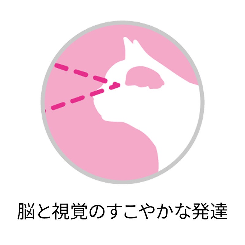 1歳までの子ねこ用 / 妊娠・授乳期の母猫用 チキン - ピュリナ ワン